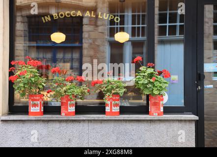 Il Passage des Arts, Rue des Vieux Murs nel centro storico di Lille con gallerie d'arte e ristoranti originali, la Francia Foto Stock