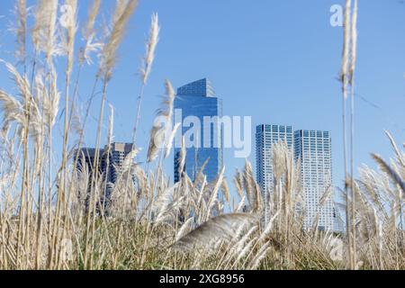 Edifici visti dalla riserva ecologica di Costanera Sur nella città di Buenos Aires. Foto Stock