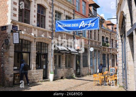 Il Passage des Arts, Rue des Vieux Murs nel centro storico di Lille con gallerie d'arte e ristoranti originali, la Francia Foto Stock