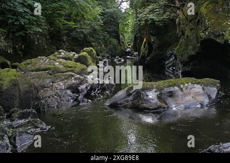 Gola Fairy Glen sul fiume Conwy, Betws Y Coed Foto Stock