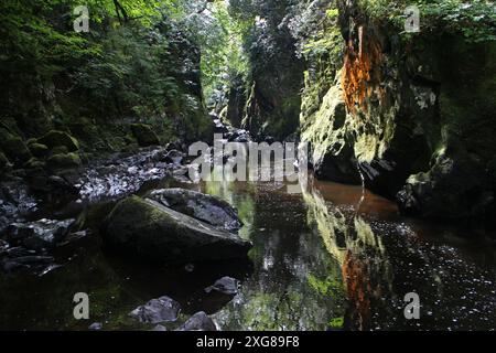 Gola Fairy Glen sul fiume Conwy, Betws Y Coed Foto Stock