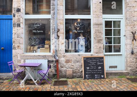 Il Passage des Arts, l'arty Rue des Vieux Murs nel centro storico di Lille con gallerie d'arte, boutique e ristoranti, la Francia Foto Stock