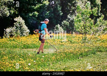 Il trimmer wacker a filo alimentato a gas sulla sospensione dello zaino, il giardiniere distrugge i leoni in fiore nel suo campo. Foto Stock