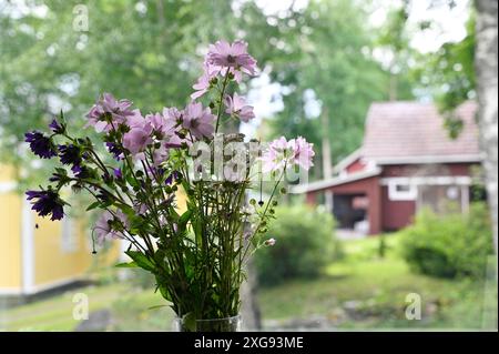 Fiori selvatici in un vaso alla finestra, fuori dalla finestra il paesaggio di un villaggio finlandese è sfocato Foto Stock