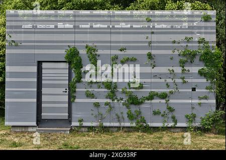Una struttura moderna con una facciata a lastre di metallo parzialmente coperta da piante rampicanti verdi. L'edificio presenta una porta centrale ed e' adagiato contro una B. Foto Stock