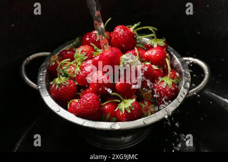 Lavare le fragole fresche sotto l'acqua corrente in un colino metallico nel lavandino Foto Stock