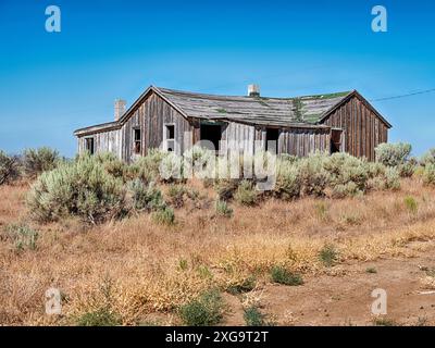 Un edificio intempestivo in una vecchia fattoria vicino a Brogan, Oregon, è stato abbandonato e sta lentamente decadendo nell'aria alta del deserto. Foto Stock