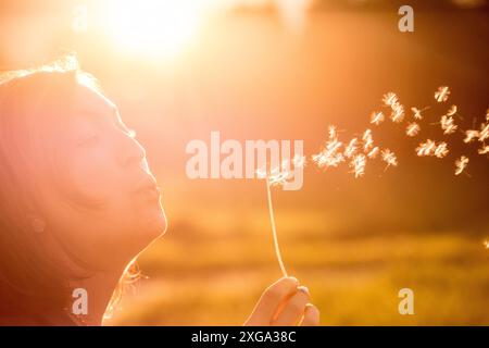 Tagliare fuori di una giovane donna che sta soffiando tarassaco la sera sun Foto Stock