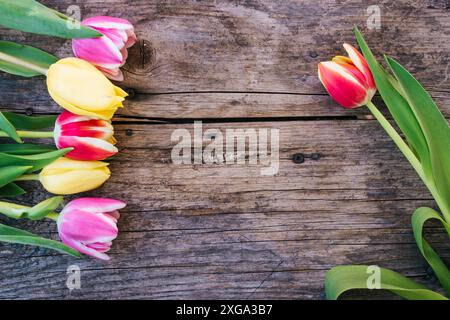 Coloratissimi fiori di primavera (tulipani) sono giacenti su una tavola in legno rustico, vista da sopra, lo spazio di testo Foto Stock