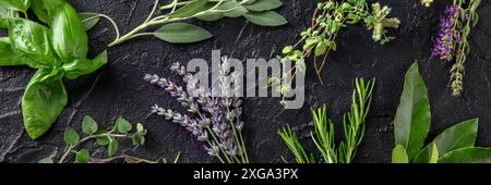 Panorama delle erbe aromatiche, girato dall'alto su sfondo nero. Grappoli di rosmarino, basilico, lavanda e varie altre piante culinarie Foto Stock