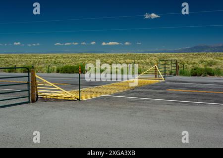 Griglia di grata del bestiame su una strada in un giorno di sole Foto Stock