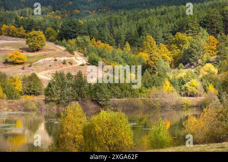 La magia dorata della foresta autunnale con gli alberi colorati di caduta. Romantico paesaggio lago Foto Stock