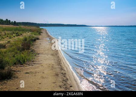 Spiaggia del lago Grossraeschen nel distretto dei laghi Lusaziani, Germania, spiaggia del lago Grossraeschen nel distretto dei laghi Lusaziani in una giornata di sole, Germania Foto Stock