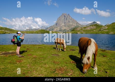 Cavalli davanti Midi d'Ossau, lago Gentau, tour dei laghi Ayous, Parco Nazionale dei Pirenei, Pirenei Atlantici, Francia Foto Stock