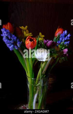 Bouquet di vari fiori su sfondo scuro. Tulipani rossi, giacinti blu, narcisi gialli, anemoni viola. Foto Stock