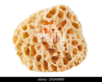 Spugna marina naturale isolata su sfondo bianco Foto Stock