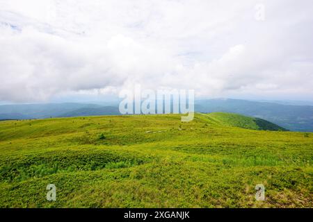 scenario alpino della polonyna dei carpazi liscia chiamata anche runa. colline erbose e prati sotto il cielo coperto in estate Foto Stock