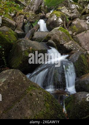 Becka Brook, Becky Falls, Dartmoor National Park, Devon, Inghilterra, Regno Unito, ottobre 2020 Foto Stock