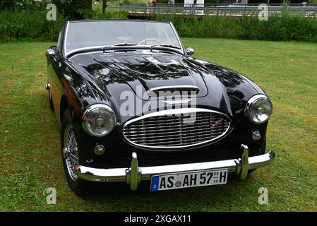 20) Regensburger Classic Rallye, Oldtimer-Rennen bzw Ausfahrt mit Start und Ziel a Ratisbona, via Laaber, Beratzhausen, Lupburg, Steinmühle bei Parsberg, Hexenagger, Kapflberg, Sinzing, Stadtamhof. Foto: Austin Healey, englisches Oldtimer Cabrio *** 20 Regensburger Classic Rallye, corsa/escursione con partenza e arrivo a Ratisbona, via Laaber, Beratzhausen, Lupburg, Steinmühle vicino a Parsberg, Hexenagger, Kapflberg, Sinzing, Stadtamhof foto Austin Healey, auto d'epoca inglese convertibile Foto Stock