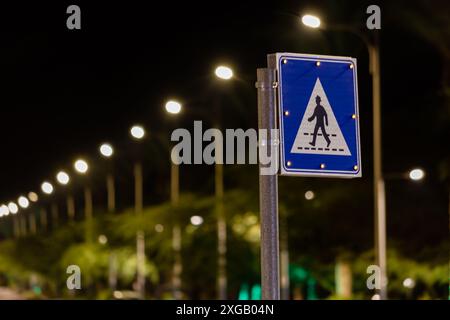 Segnale di attraversamento pedonale illuminato di notte. Fulmine della città. Autostrada urbana. Sicurezza dei pedoni di notte Foto Stock