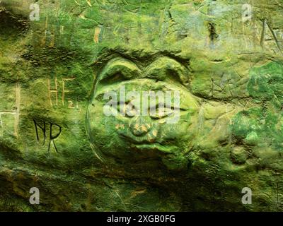 Scultura in arenaria del volto di un gatto accanto all'antica pista Hell Lane, vicino a Symondsbury, Dorset, Inghilterra, Regno Unito, settembre 2021 Foto Stock