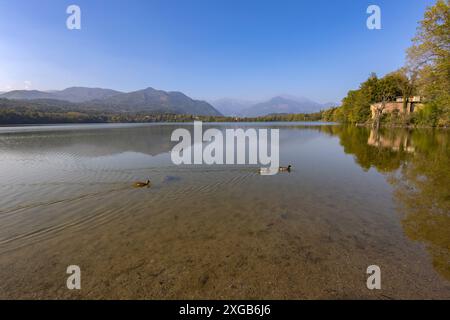 Vista sul grande lago di Avigliana (Lago grande), in provincia di Torino, Piemonte, Italia Foto Stock