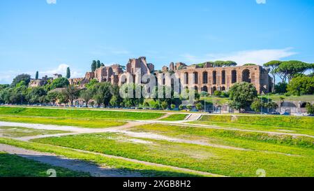 Una vista delle rovine della Domus Severiana sul Palatino dal Circo massimo a Roma, Italia. L'antico palazzo romano è visibile in lontananza, con un'area erbosa in primo piano. Foto Stock