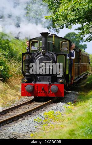 No 7, Tom Rolt, tal y Llyn, Narrow Gauge, locomotiva a vapore,. Foto Stock