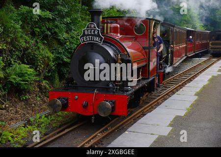 Tal y Llyn, scartamento ridotto, ferrovia a vapore, n. 10, Nant Gwernol, Foto Stock