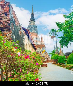 Visita il complesso Wat Yai Chai Mongkhon con Ubosot, chedi e santuari conservati, Ayutthaya, Thailandia Foto Stock