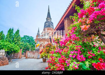 Visita il complesso Wat Yai Chai Mongkhon con Ubosot, chedi e santuari conservati, Ayutthaya, Thailandia Foto Stock