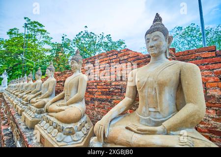 La fila di statue di Buddha nel tempio Wat Yai Chai Mongkhon, Ayutthaya, Thailandia Foto Stock