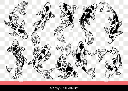 I pesci di carpa giapponesi con corpo maculato e grandi pinne nuotano in posizioni diverse. Pesce orientale tradizionale che vive in gamberi nazionali e riserve tropicali dell'asia. Scarabocchio disegnato a mano Illustrazione Vettoriale