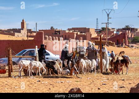 Tuareg al mercato caprino nel Sahara in Algeria Foto Stock