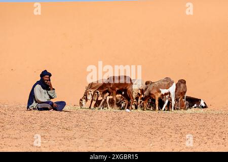 Tuareg al mercato caprino nel Sahara in Algeria Foto Stock