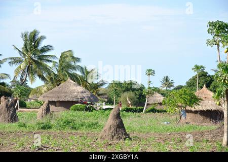 Piccolo villaggio con capanne di fango, New Mambone, Inhambane, Mozambico. Colline ANT in primo piano. Palme e altri alberi sparsi nella zona. Foto Stock