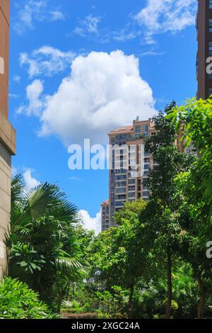 Una tranquilla scena urbana mette in mostra un lussureggiante primo piano verde di palme e arbusti. Città di Shenzhen. Foto Stock