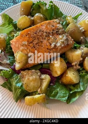 Primo piano di salmone alla griglia e New Potato Entree, 2024, USA Foto Stock