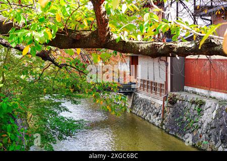 Il famoso fiume Gion Shirakawa di Kyoto, le foglie autunnali e le tradizionali case machiya in Giappone Foto Stock