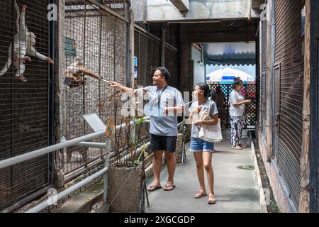 I visitatori asiatici sono visti passeggiare attraverso il vicolo dello zoo di Pata e dare cibo alle scimmie che passano le braccia fuori dalla griglia della gabbia, nel grande magazzino Pata Pinklao, a Bangkok. Nel marzo 2023, dopo la ristrutturazione, è stato lanciato il nuovo Pata Zoo, aggiungendo una zona di apprendimento per animali esotici speciali, con la speranza di diventare un'importante attrazione turistica per le persone in città. Lo Zoo PATA è uno zoo privato situato al 6° e 7° piano del grande magazzino Pata Pinklao di Bangkok. Operativo dal 1983, lo zoo ha subito critiche da parte degli attivisti tailandesi per i diritti degli animali per presunti trattamenti disumani Foto Stock