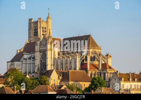 Francia, Yonne, Auxerre, la cattedrale di Saint Etienne Foto Stock