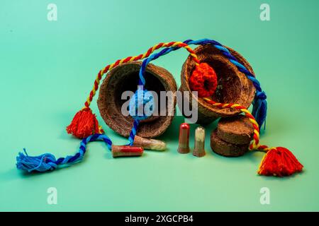 Celebrazioni Rakhi ispirate alla natura per un futuro sostenibile Foto Stock