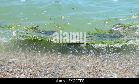 Vista grandangolare delle onde luminose che trasportano alghe di superficie fino alla spiaggia di ciottoli di East Wittering. Foto Stock