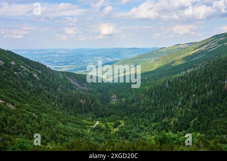 Splendida vista panoramica della verde valle di montagna con colline ondulate e fitte foreste sotto il cielo nuvoloso. Turismo di viaggio ed escursioni Foto Stock