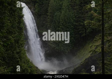 Middle Falls, Wallace State Park, Washington Foto Stock