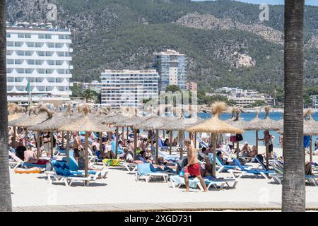 Eindrücke vom Strand im Touristenort Palmanova auf der Insel Mallorca zur Hauptsaison im Sommer 2024Mittelmeerinsel Mallorca während der Hauptsaison im Juli 2024, Palma Mallorca Spanien Playa de Palma *** impressioni della spiaggia nella località turistica di Palmanova sull'isola di Maiorca durante l'alta stagione dell'estate 2024 isola mediterranea di Maiorca durante l'alta stagione nel luglio 2024, Palma Mallorca Spagna Playa de Palma Foto Stock