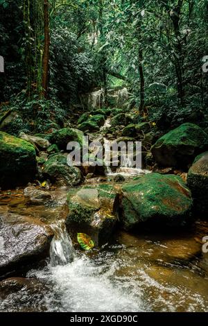 Una splendida vista su un fiume panoramico e una cascata in una foresta pluviale tropicale sul pendio del vulcano Arenal nella Costa Rica centrale. Foto Stock