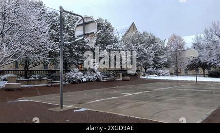 Campo da pallacanestro all'aperto nella camera dei comuni d'inverno con alberi innevati Foto Stock