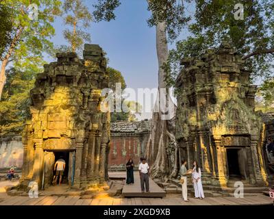 Tempio di TA Prohm, un monastero buddista Mahayana costruito alla fine del XII secolo per il re Khmer Jayavarman VII, Angkor, sito Patrimonio dell'Umanità dell'UNESCO, Cambo Foto Stock