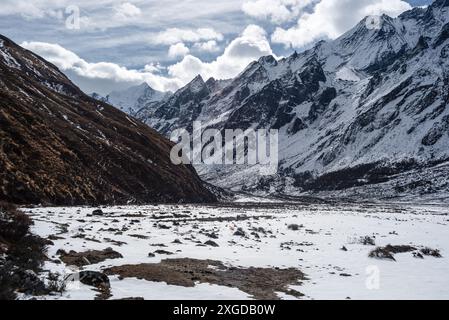 Ammira le pianure della valle invernale ad alta quota durante il trekking di Langtang a Kyanjin Gompa, Himalaya, Nepal, Asia Foto Stock